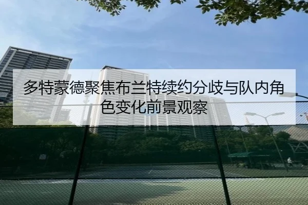 多特蒙德聚焦布兰特续约分歧与队内角色变化前景观察